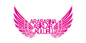 arabasinaasiklar